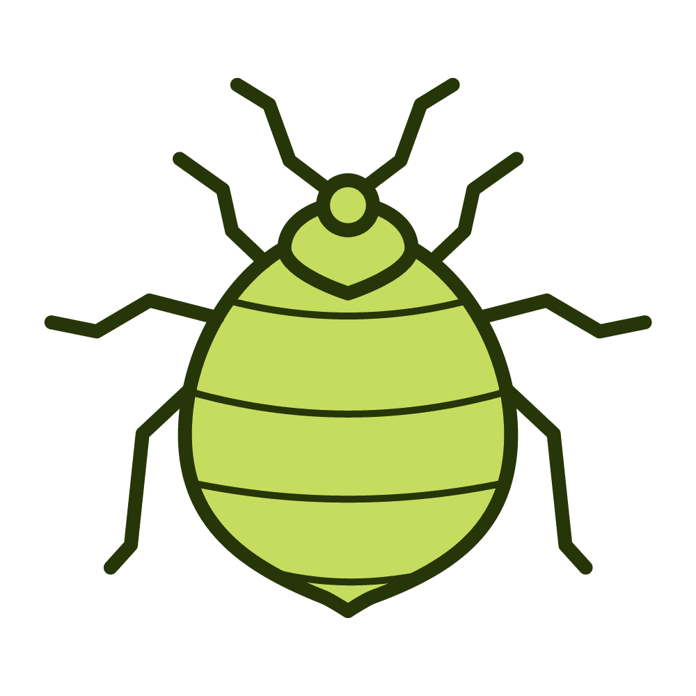 Bed Bugs - Nature's Edge Pest Solutions